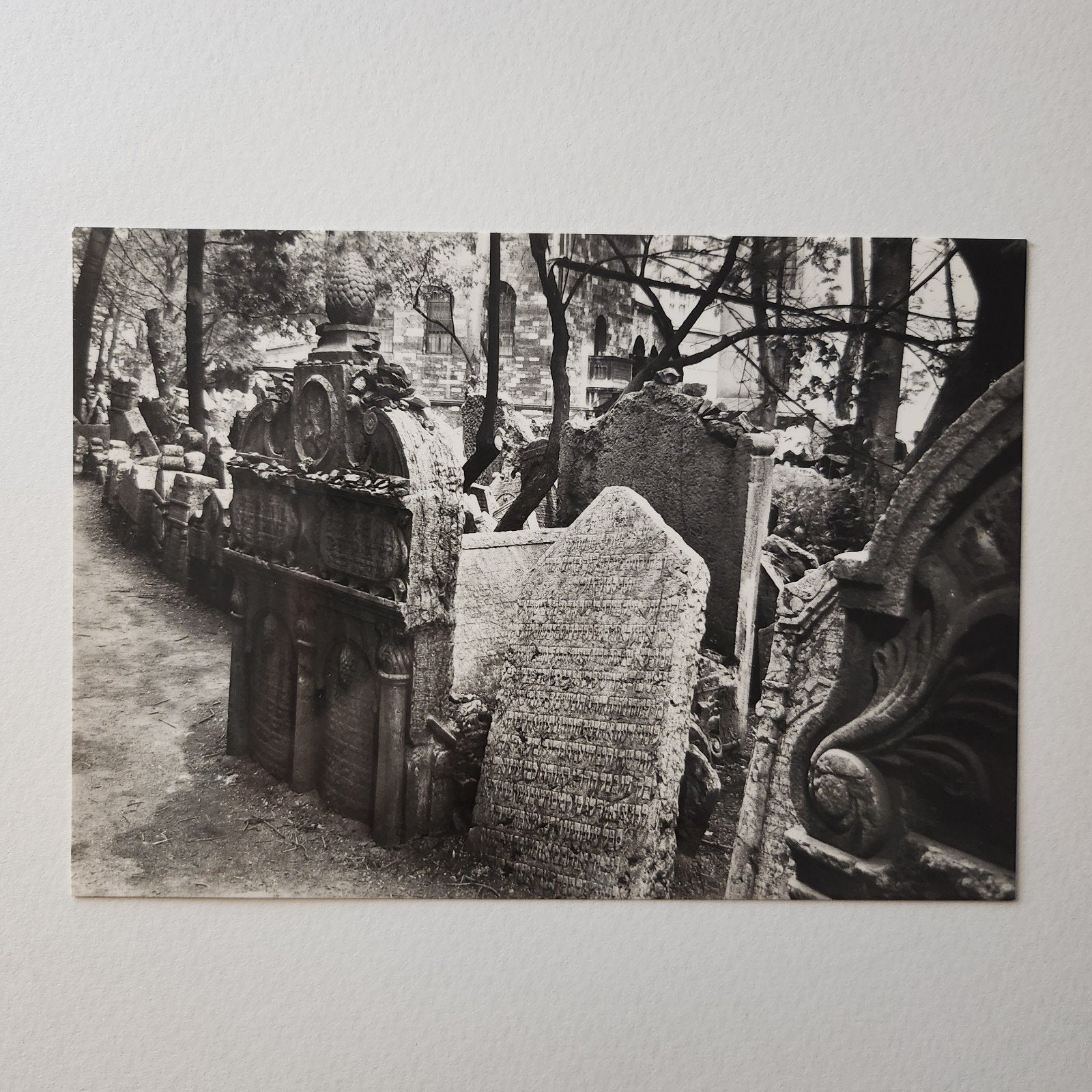 E1 Echte foto/ kaart Oude Joodse Begraafplaats Praag '60, Verzenden, 1960 tot 1980, Ongelopen, Stad of Dorp