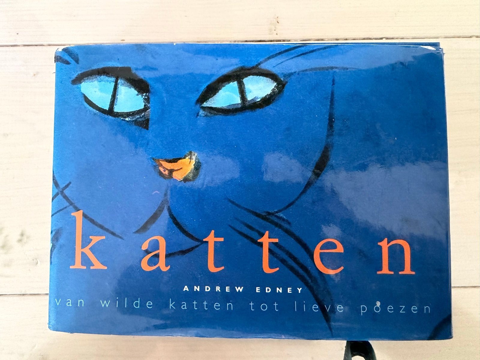 Kat: Van wilde katten tot lieve poezen - Andrew Edney, Boeken, Dieren en Huisdieren, Ophalen of Verzenden, Gelezen, Katten