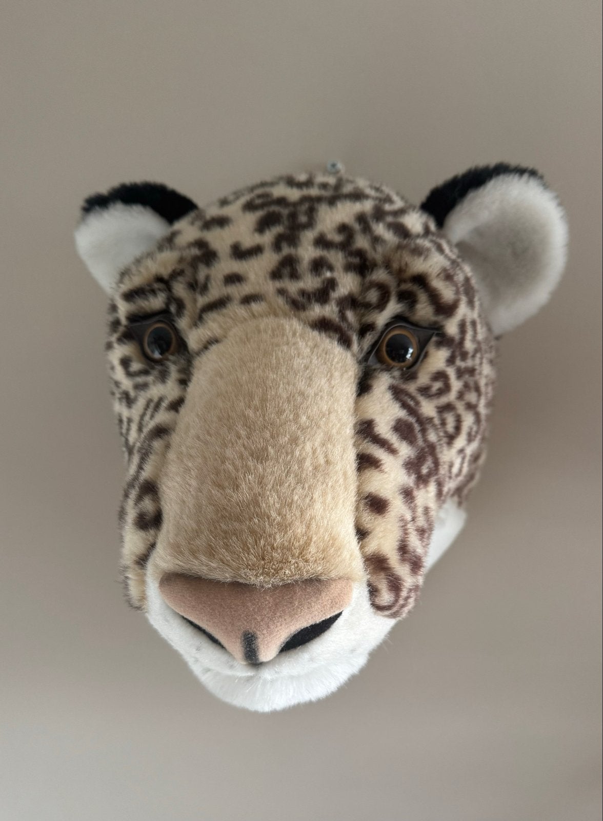 Set van 4 pluche dierenkoppen voor aan de muur, Ophalen of Verzenden, Zo goed als nieuw