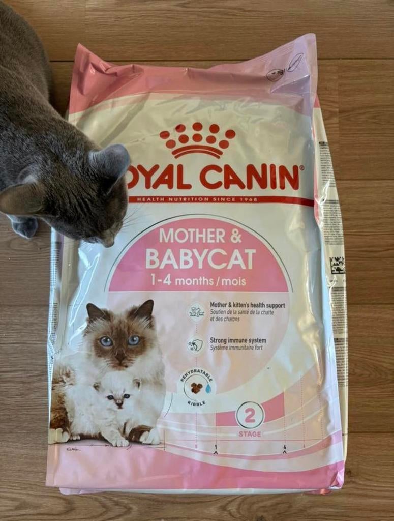 Royal Canin 10 kg Mother & babycat, Dieren en Toebehoren, Dierenvoeding, Ophalen of Verzenden, Kat