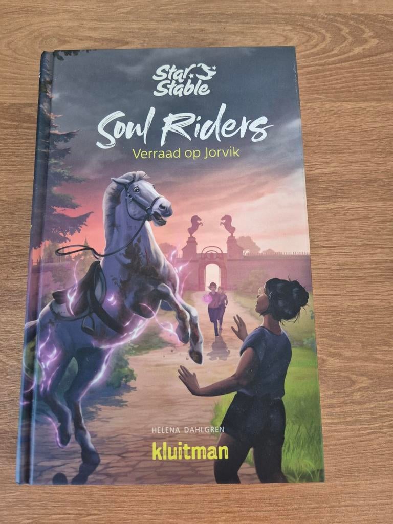 Soul Riders - Helena Dahlgren, Boeken, Kinderboeken | Jeugd | 10 tot 12 jaar, Ophalen of Verzenden, Zo goed als nieuw