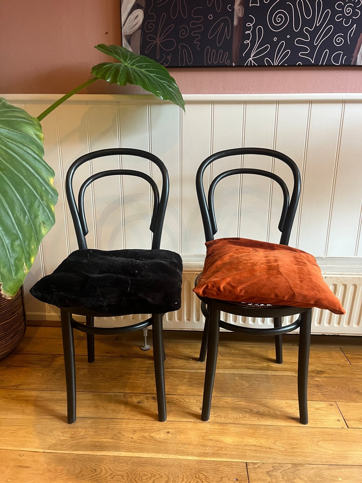 Thonet stoelen met rotan zitting (set van 2), Ophalen of Verzenden