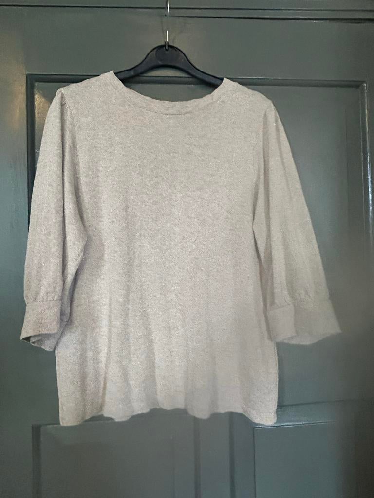 Elvira Collections Top met driekwart mouwen en glitter, Maat 38/40 (M), Beige, Ophalen of Verzenden, Zo goed als nieuw