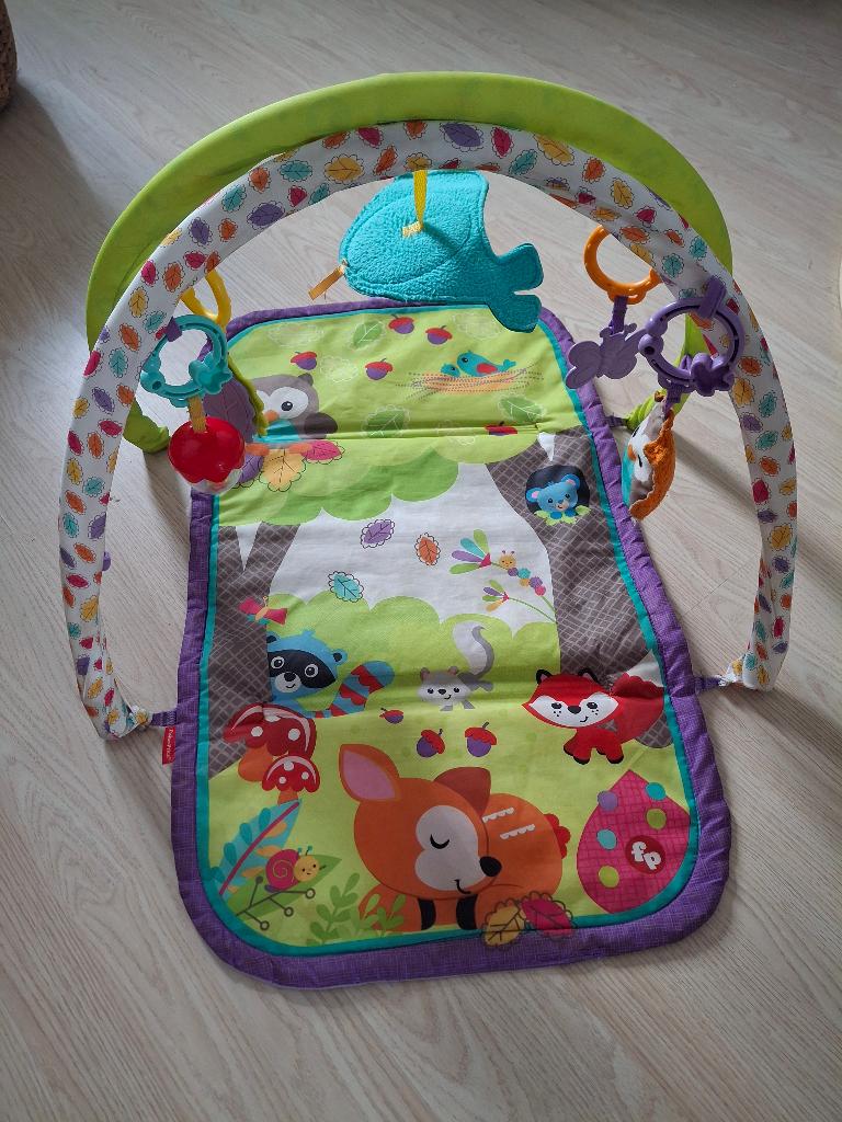 Fisher Price speelkleed, Ophalen, Gebruikt