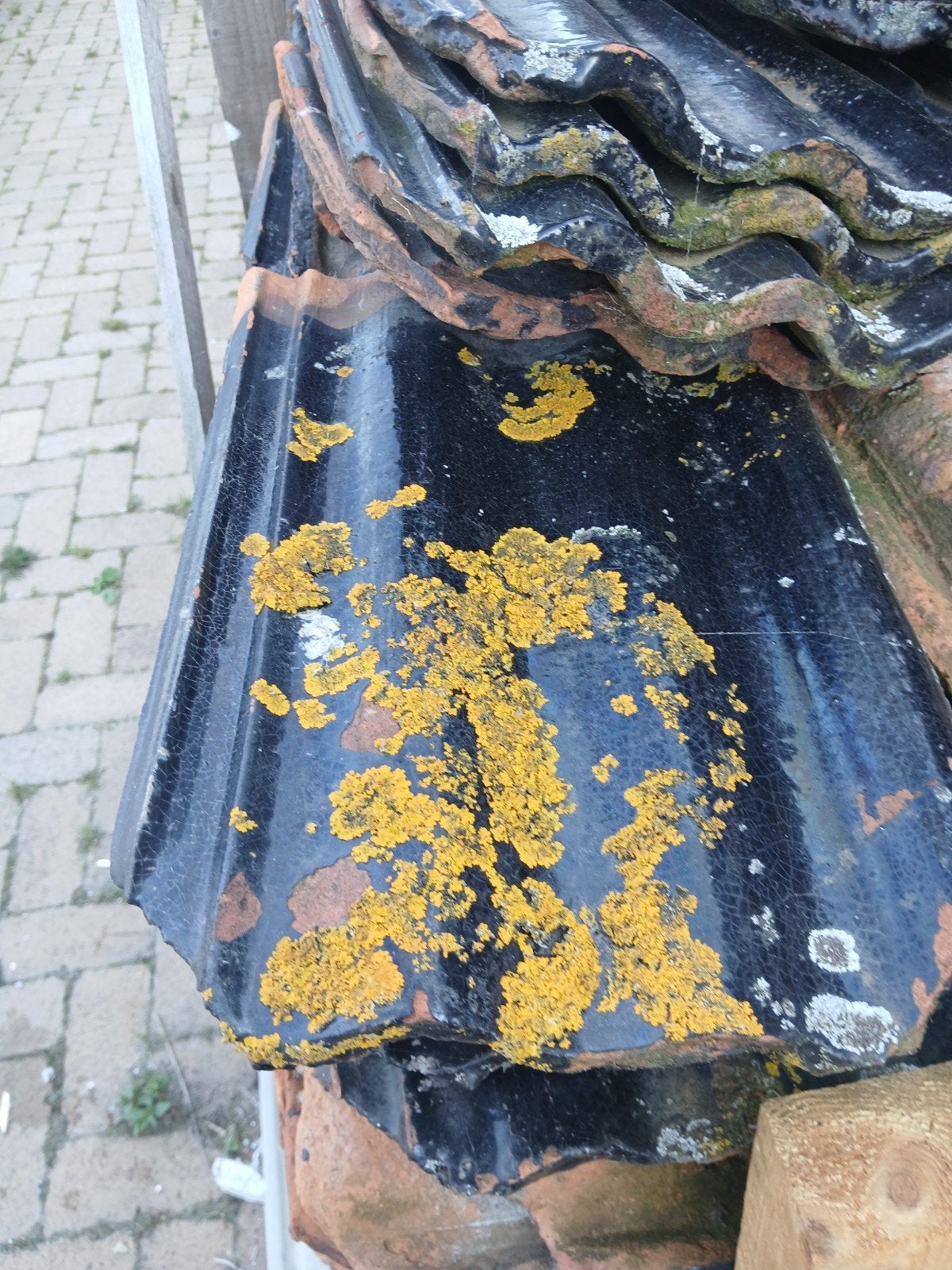 Friese geglazuurde gegolfde dakpannen, Doe-het-zelf en Verbouw, Dakpannen en Dakbedekking, Gebruikt, Steen of Klei, Ophalen of Verzenden