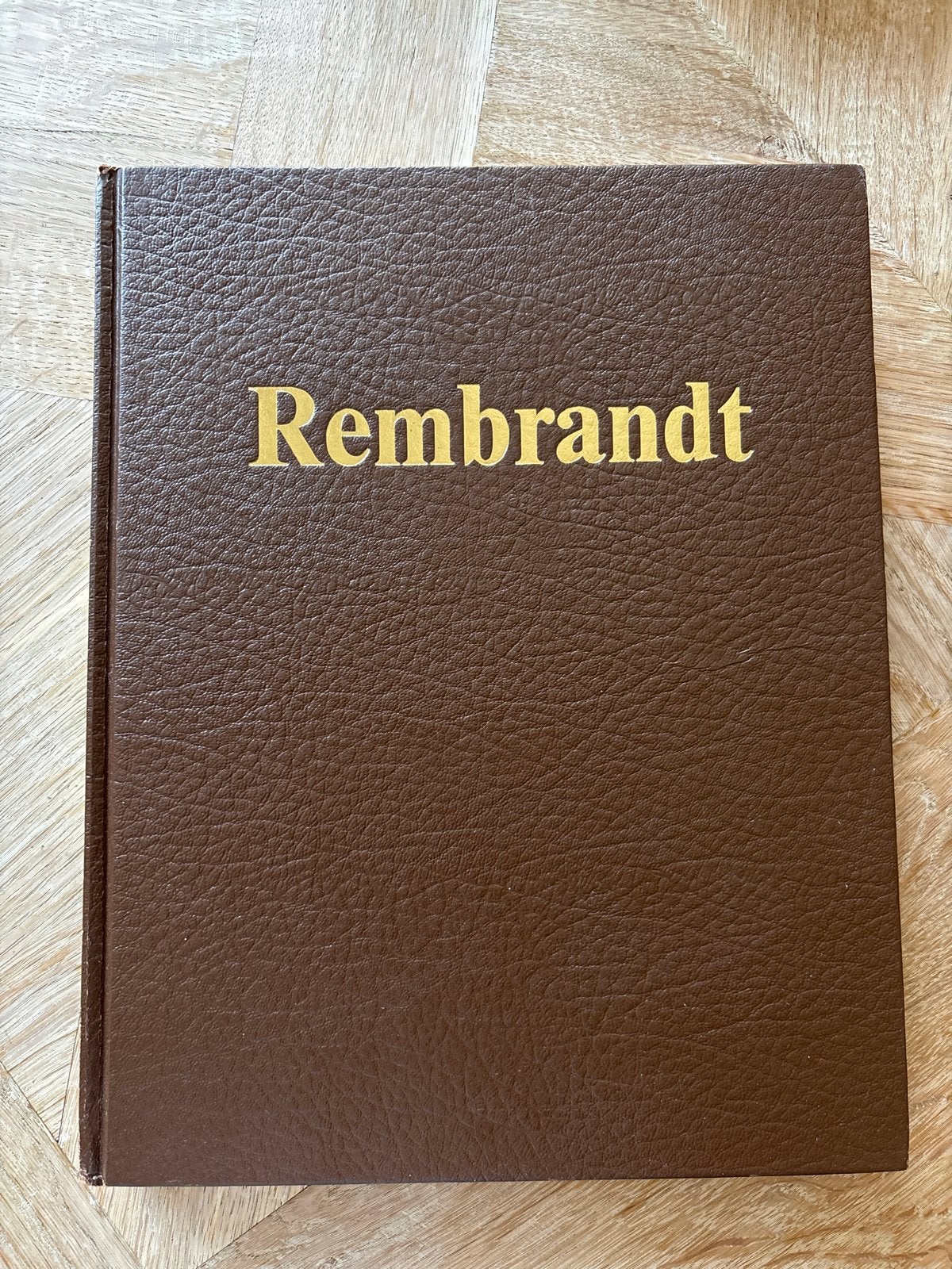 Rembrandt boek - Kunstboek over de meester, Boeken, Ophalen of Verzenden, Zo goed als nieuw, Overige onderwerpen