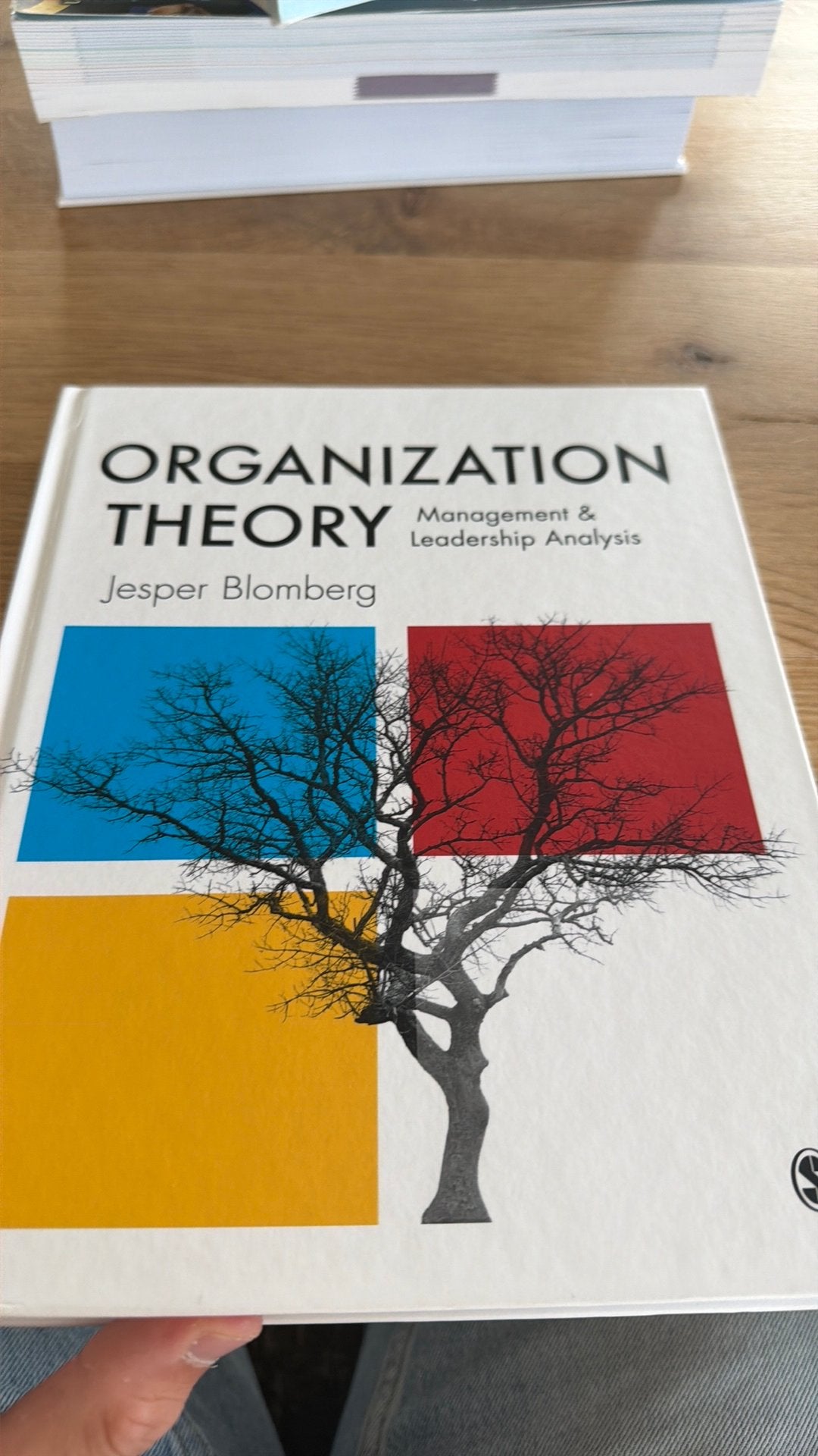 Boek Jesper Blomberg Organization Theory Nieuw, Boeken, Ophalen of Verzenden, Zo goed als nieuw