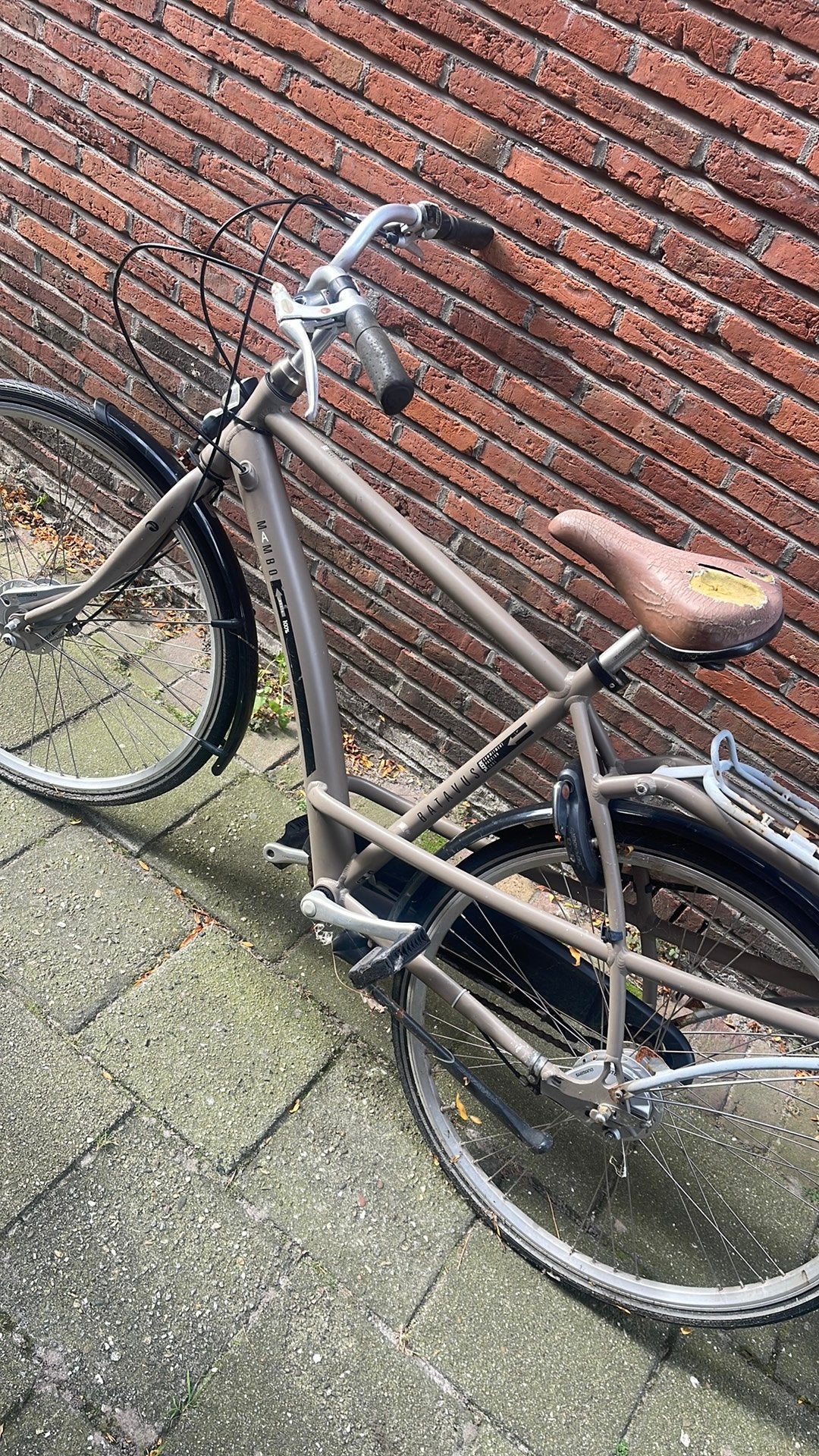 Foto 4 van Batavus fiets