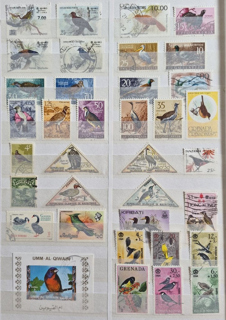 POSTZEGELS VOGELS WERELD GESTEMPELD, Verzenden, Gestempeld, Dier of Natuur