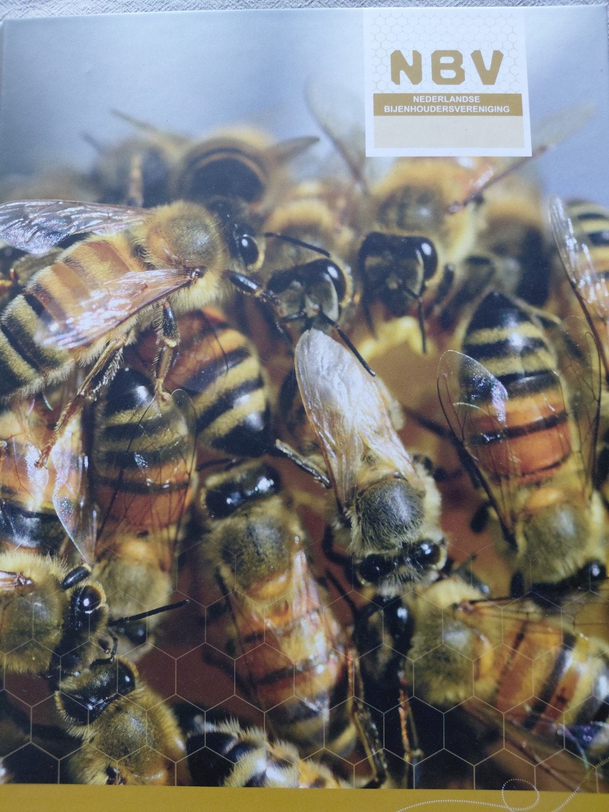 Honingbij en Bijenvolk - NBV Cursusboek, Boeken, Zo goed als nieuw, Beta, Overige niveaus, Nederlandse Bijenhoudersvereniging (NBV)
