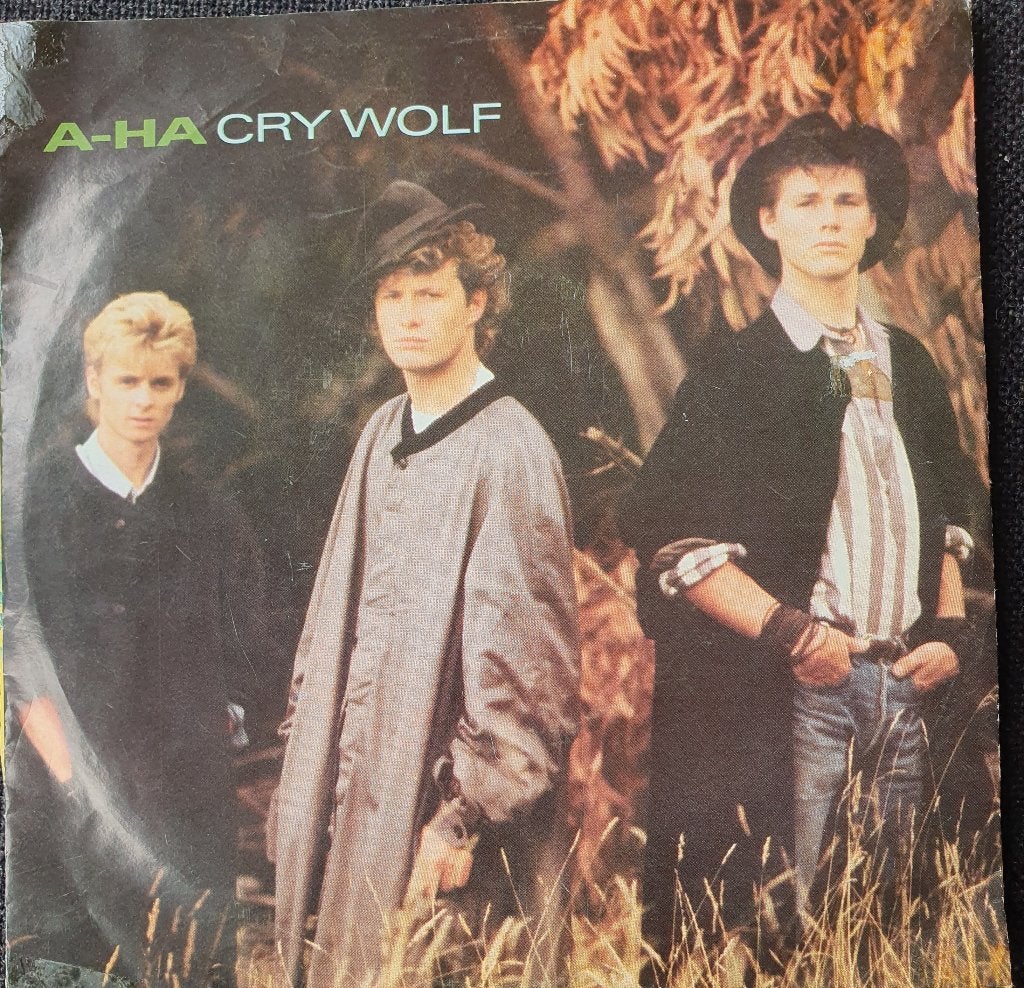 A Ha - Cry Wolf, Gebruikt, Verzenden, 7 inch, Fotohoes