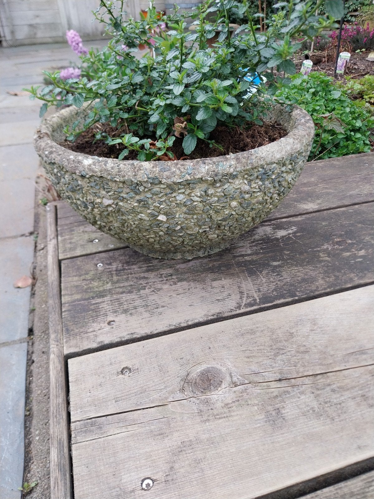 Robuuste betonnen bloempot voor buiten blauw/groen, Ophalen, Gebruikt, Rond, Balkon