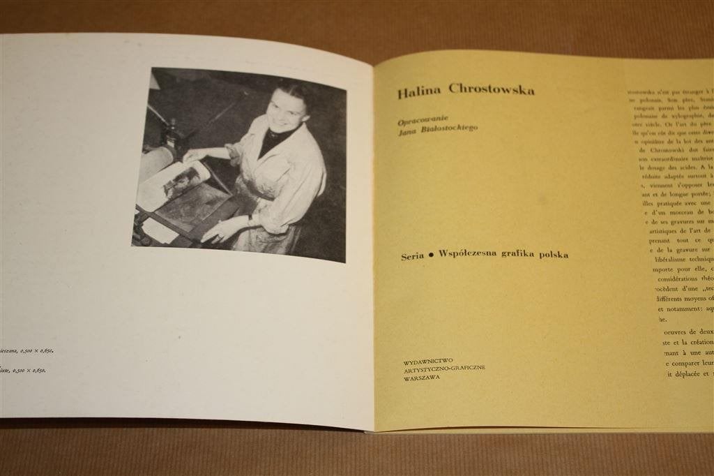 Boek over de kusntenaar Halina Chrostowska., Ophalen of Verzenden, Gelezen