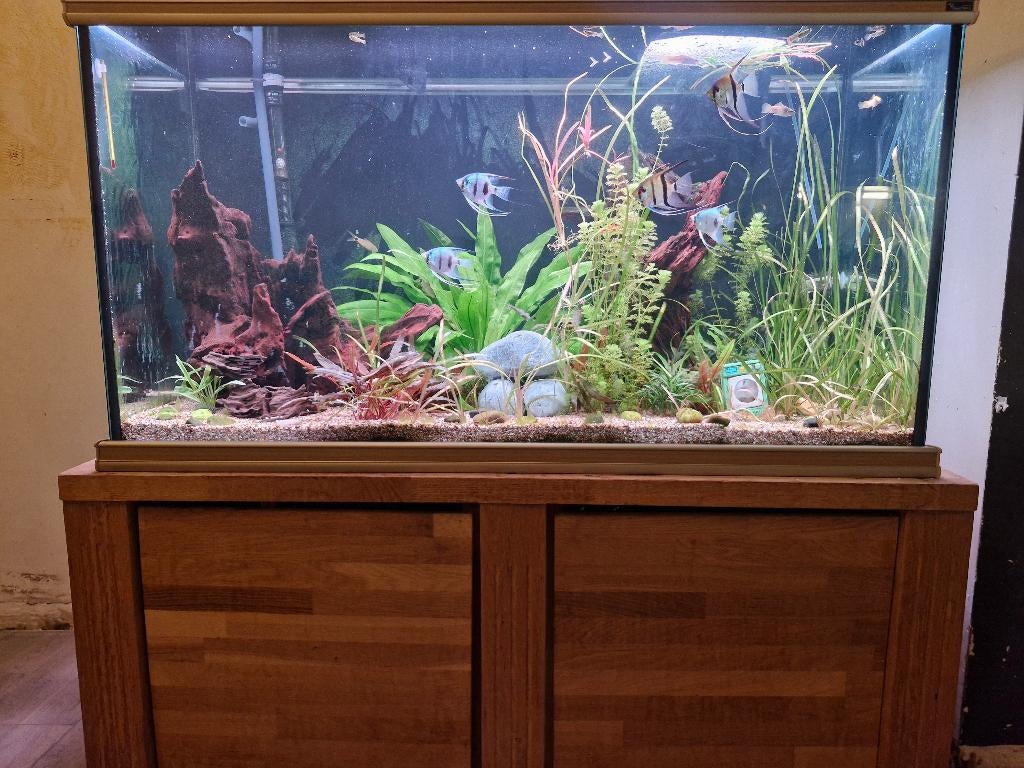 Groot Aquarium aquatlantis, Ophalen, Gebruikt, Gevuld zoetwateraquarium