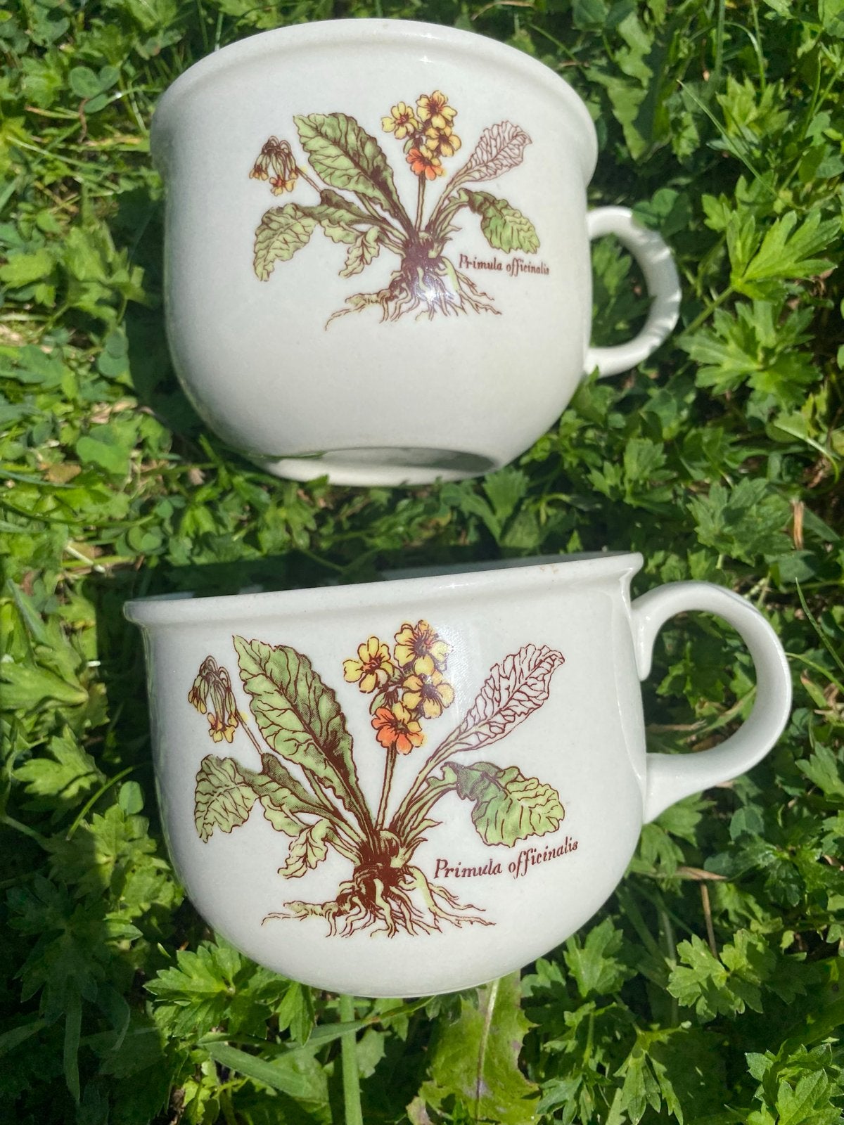 2 Villeroy & Boch Botanica Mokken Soepkommen, Ophalen of Verzenden