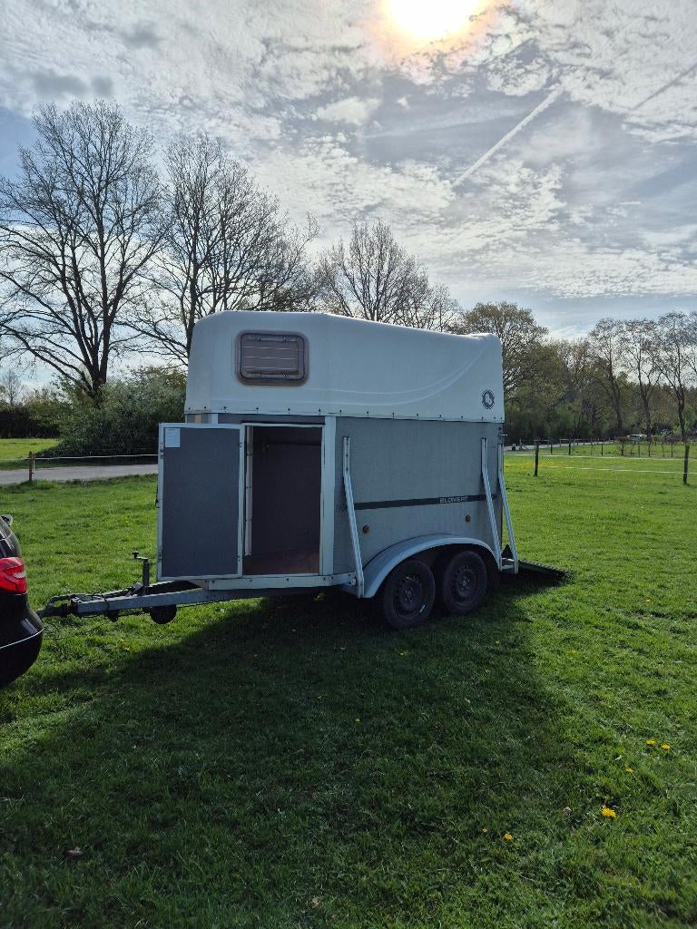Degelijke nette 1,5 paarden trailer merk Blomert, Ophalen, Gebruikt, Hout, 1½-paards trailer