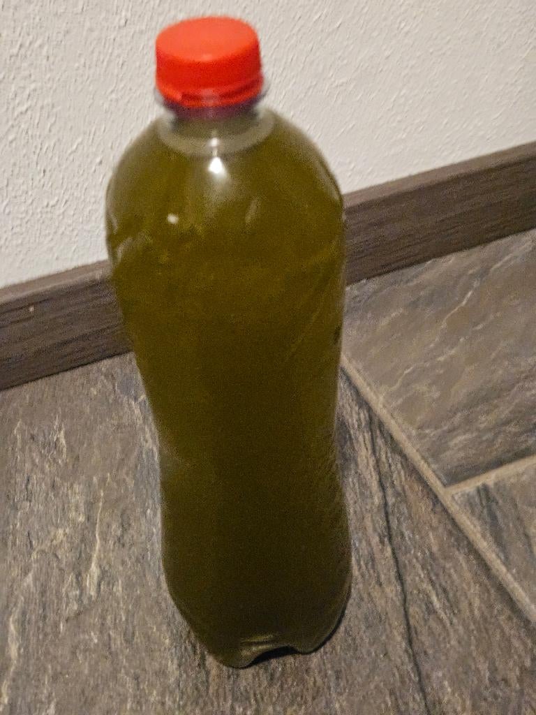 100% Pure Marokkaanse Olijfolie uit ben taieb (5L over), Diversen, Levensmiddelen, Ophalen
