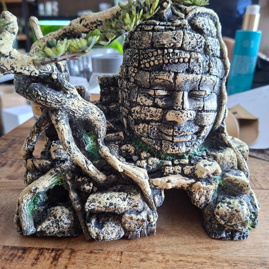 Boeddha grot, Ophalen