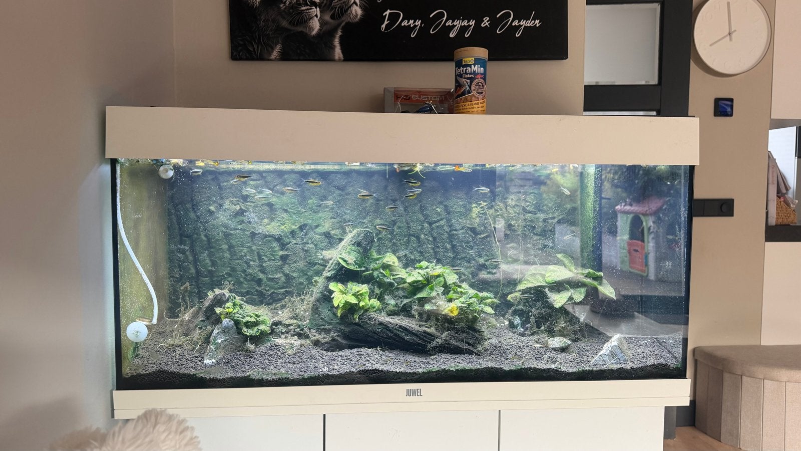 Juwel rio 180 wit, Dieren en Toebehoren, Vissen | Aquaria en Toebehoren, Ophalen, Gebruikt, Gevuld zoetwateraquarium, Inclusief vissen