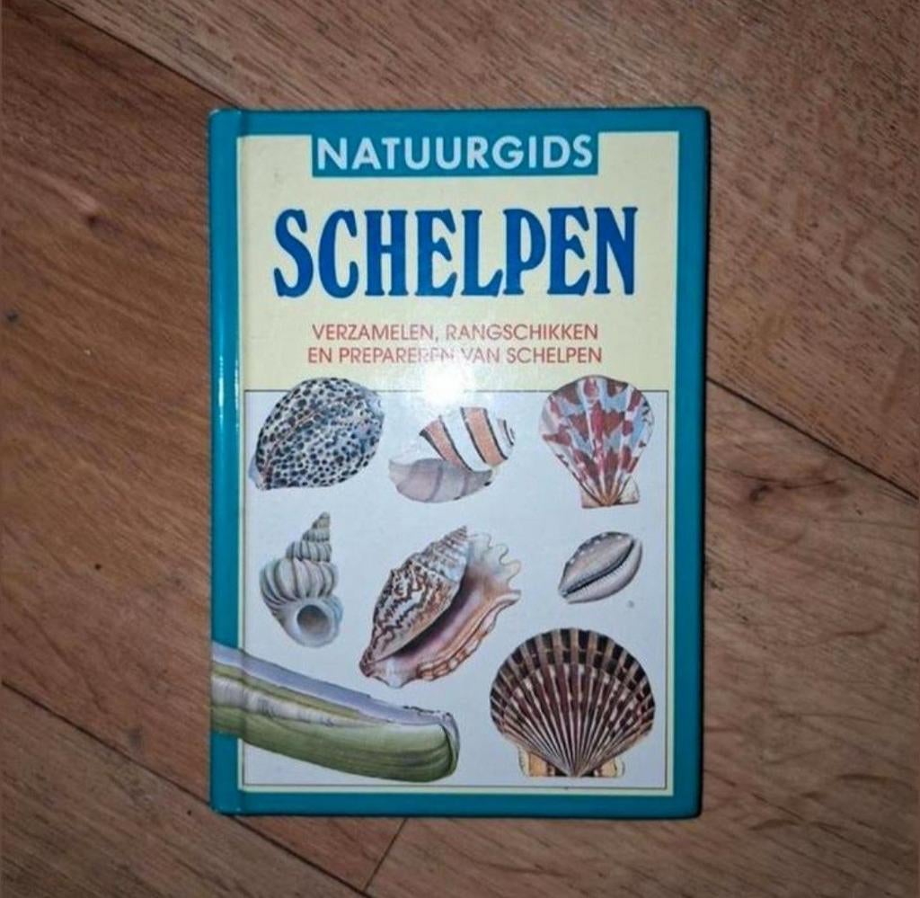 Natuurgids Schelpen: Verzamelen, Rangschikken en Prepareren, Ophalen of Verzenden, Zo goed als nieuw