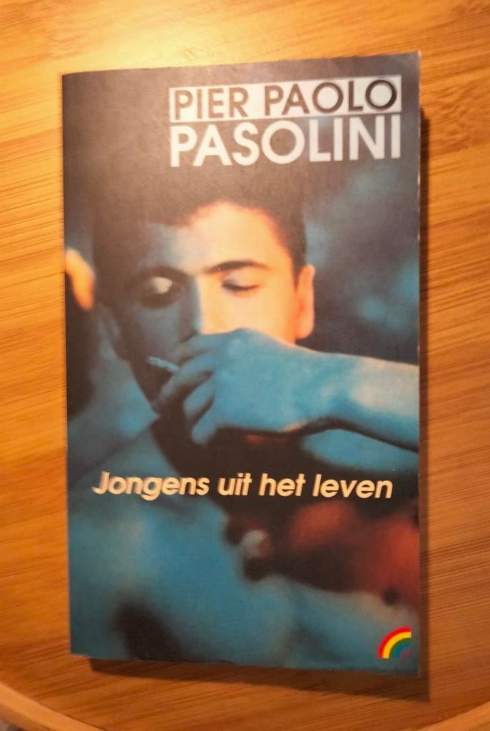 Jongens uit het leven - Pier Paolo Pasolini, Ophalen of Verzenden, Gelezen, Pier Paolo Pasolini, Europa overig