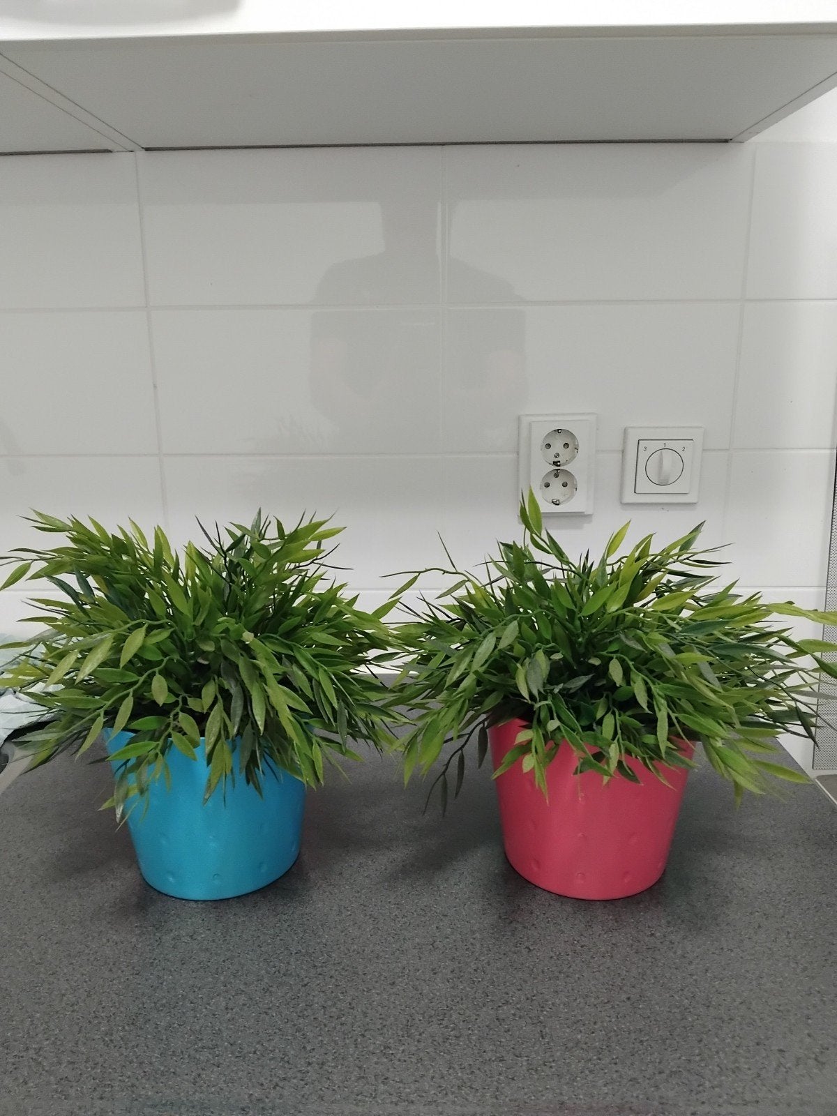2 Kunststof Planten in Stenen Bloempotten Roze & Blauw 🎄🎁, Gebruikt, Ophalen of Verzenden, Landelijk, Roze