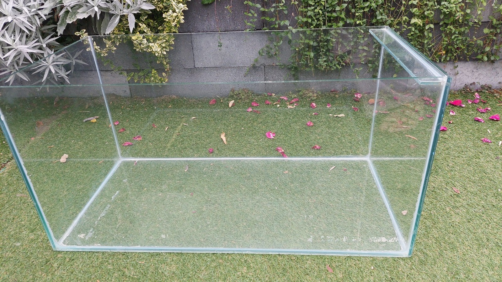 hamsterscapebak met veel spullen, Dieren en Toebehoren, Ophalen, Gebruikt, Overige typen, Hamster