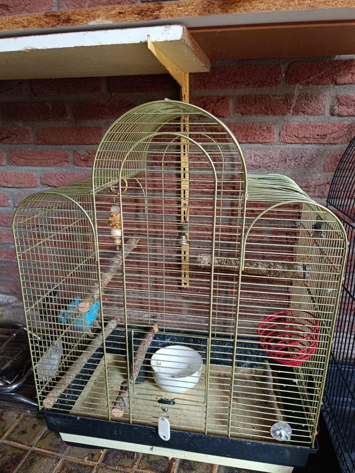 volgel hok, Ophalen of Verzenden, Zo goed als nieuw, Hout, Vogelkooi