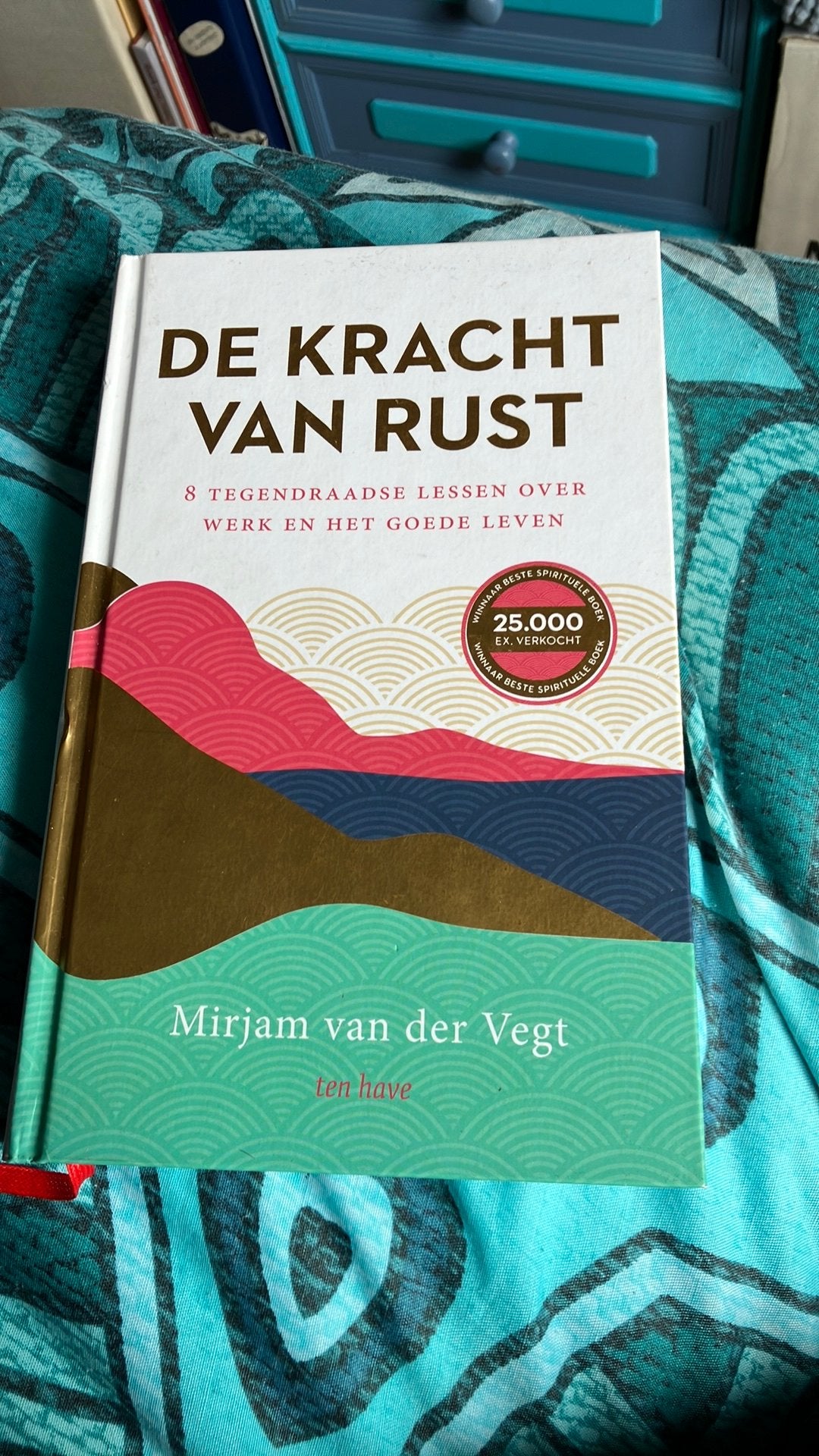 Mirjam van der Vegt - De kracht van rust, Achtergrond en Informatie, Ophalen of Verzenden, Zo goed als nieuw, Overige onderwerpen