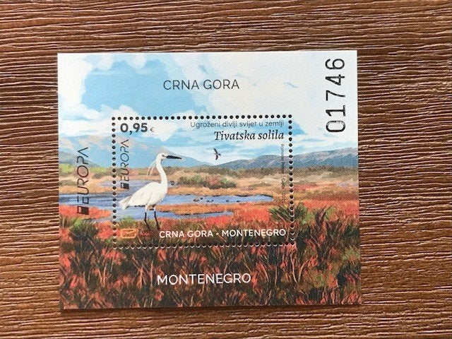 Montenegro 2021, Mi Bl 27 Europa CEPT, Ophalen of Verzenden, Overige landen, Postfris
