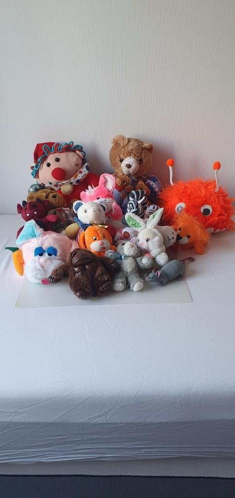 Diverse knuffels en pluche beesten, Ophalen, Gebruikt, Beer, Middelgroot (20 tot 80 cm)