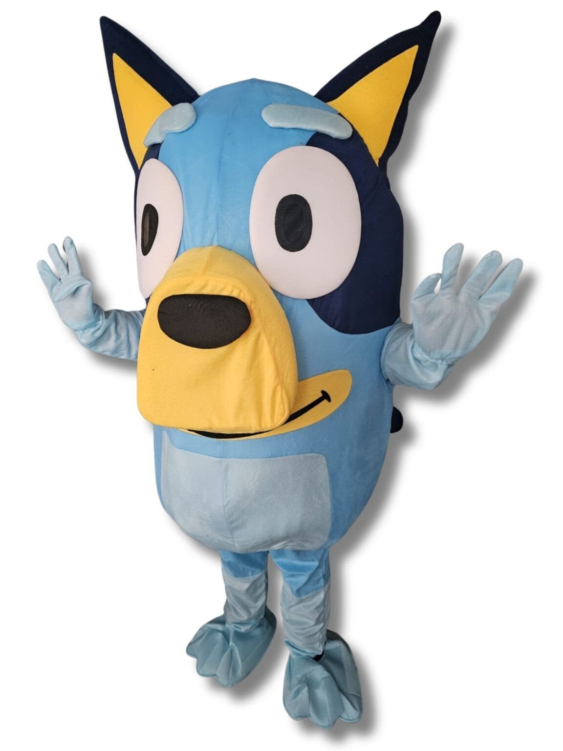 mascottes, Ophalen