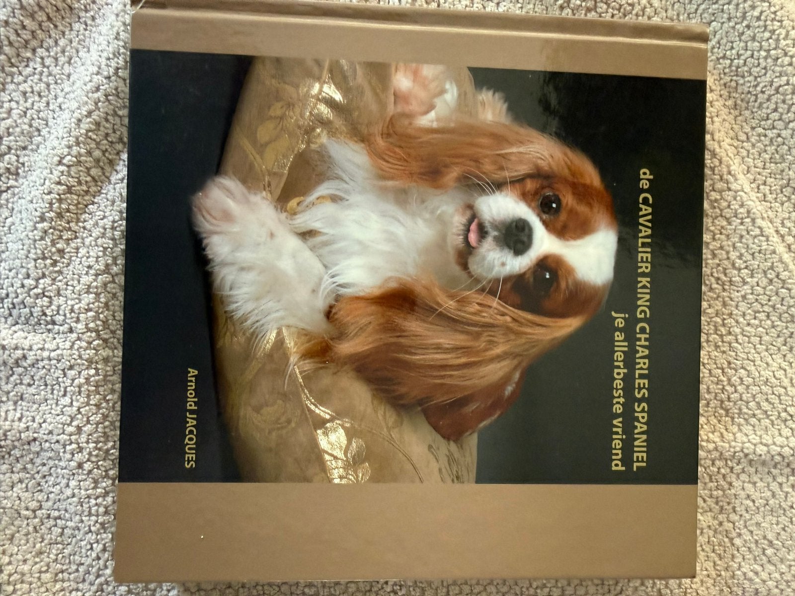 De CAVALIER KING CHARLES SPANIEL, Ophalen of Verzenden, Zo goed als nieuw, Honden