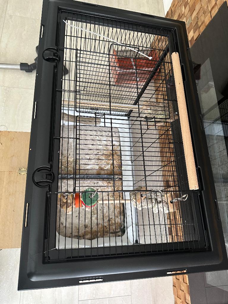 Vogelkooi groot, Dieren en Toebehoren, Vogels | Hokken en Kooien, Ophalen, Gebruikt, Metaal, Vogelkooi