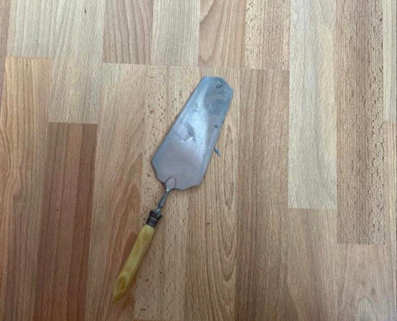 Antieke Taartschep met Crèmekleurig Handvat, Ophalen of Verzenden