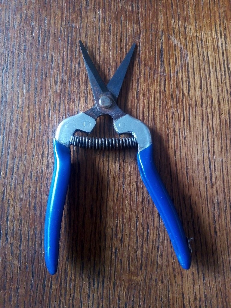Vintage  Oogstschaar / Fruitschaar (18 cm), Ophalen of Verzenden