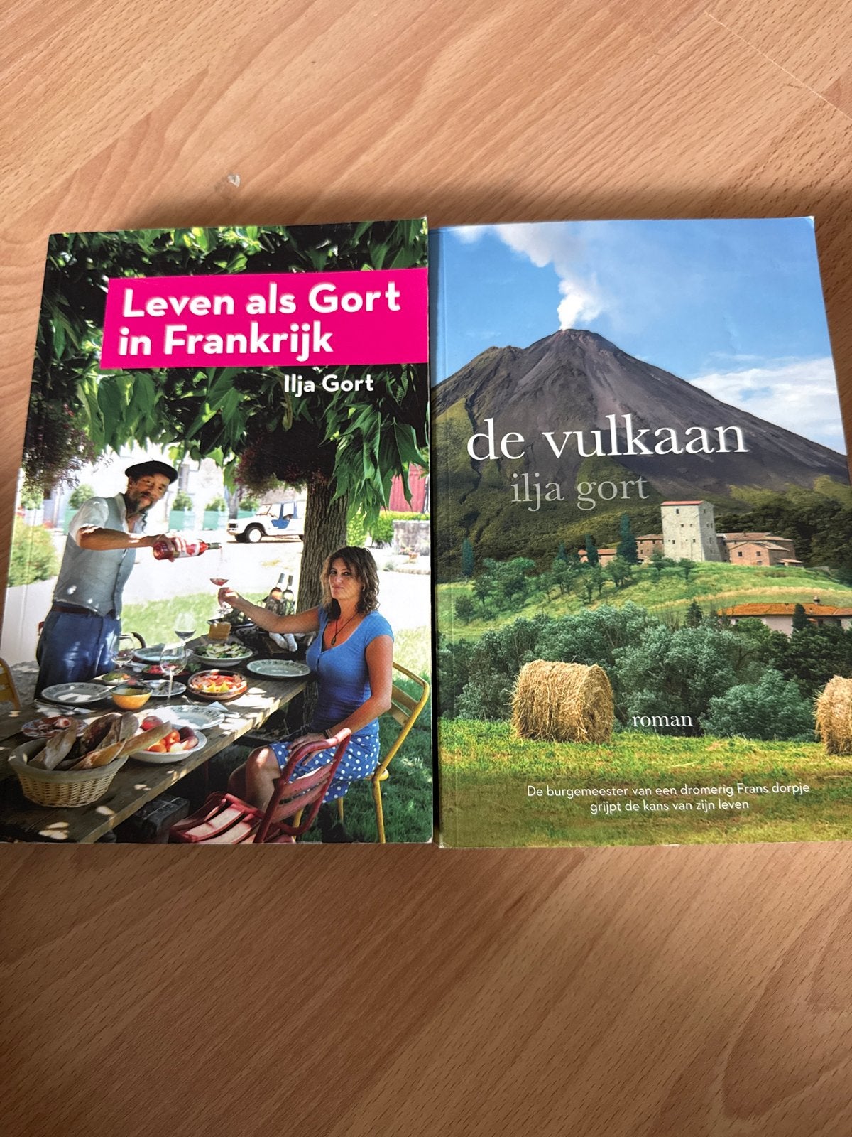 Ilja Gort boeken: Leven als Gort in Frankrijk & De vulkaan, Ophalen of Verzenden, Gelezen