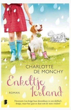 Enkeltje Ierland - Charlotte de Monchy (Roman), Boeken, Ophalen, Zo goed als nieuw, Charlotte de Monchy, Nederland