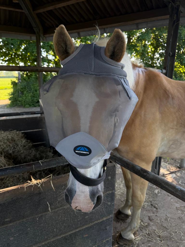 2x Weatherbeeta Vliegenmasker te koop!, Verzenden, Zo goed als nieuw