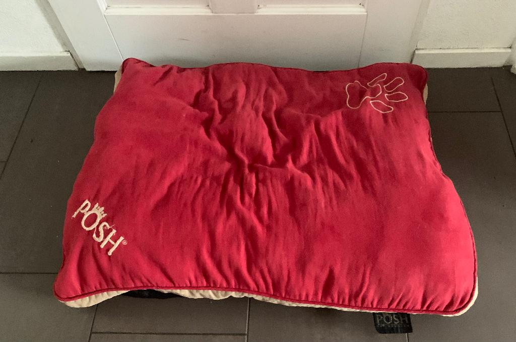 Posh rood hondenkussen 75 cm bij 60 cm, Dieren en Toebehoren, Ophalen of Verzenden, Zo goed als nieuw, Stof