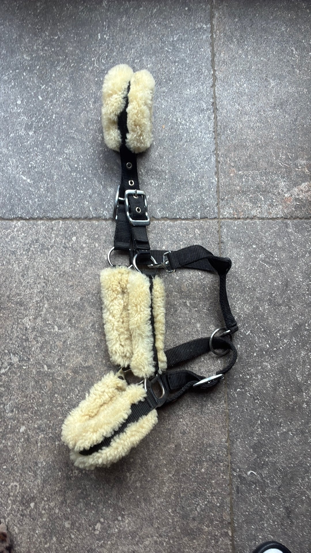 Bont halster mt cob, Ophalen of Verzenden, Zo goed als nieuw, Halster, Cob