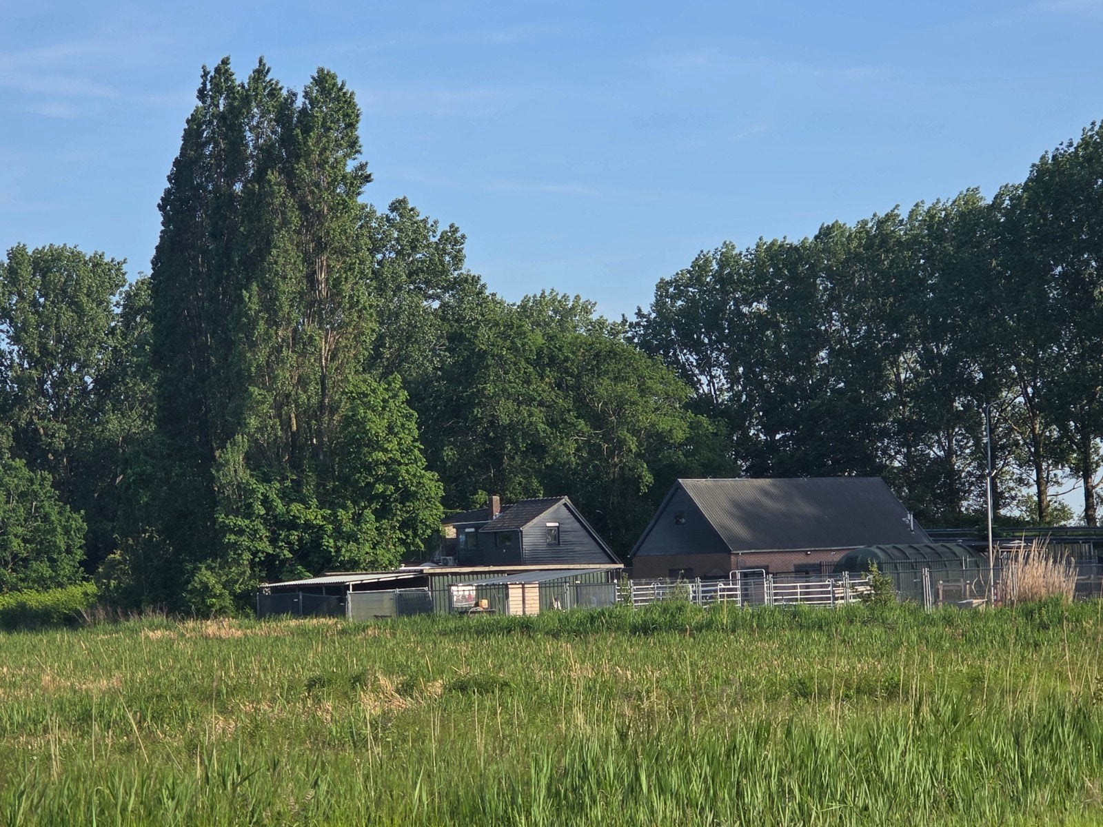 Stalling in eigen beheer, Dieren en Toebehoren, Stalling en Weidegang, Stalling