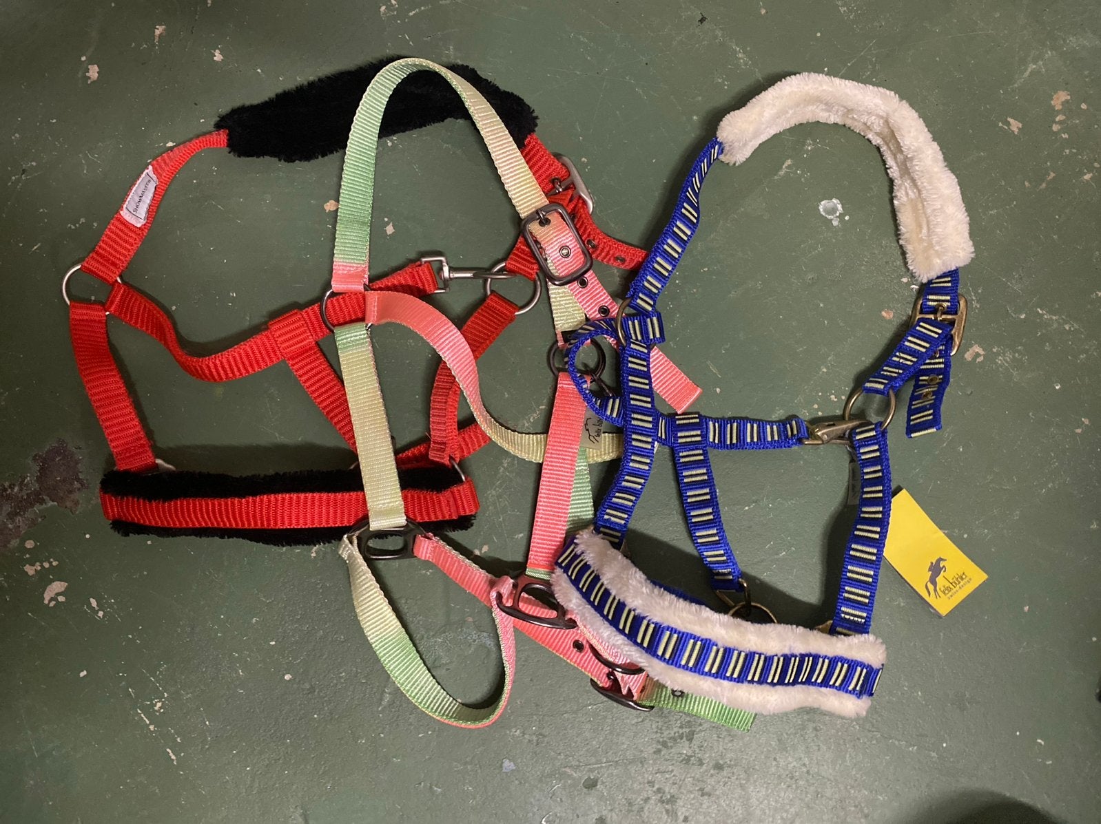 3 nieuwe halsters maat cob., Ophalen, Nieuw