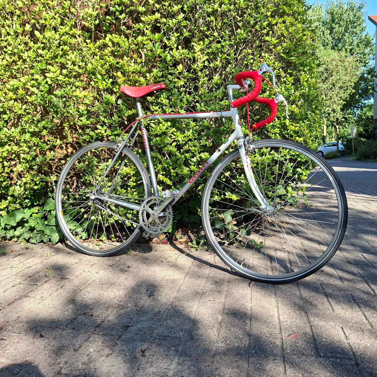 Vintage racefiets, Ophalen, 28 inch, Gebruikt, 10 tot 15 versnellingen