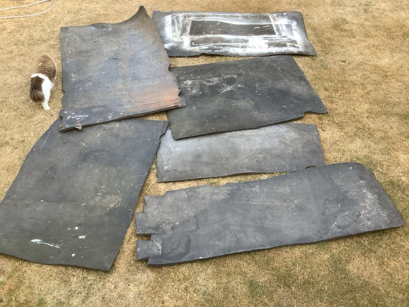 6 paardenmatten, Ophalen, Overige materialen, Gebruikt, Zwart