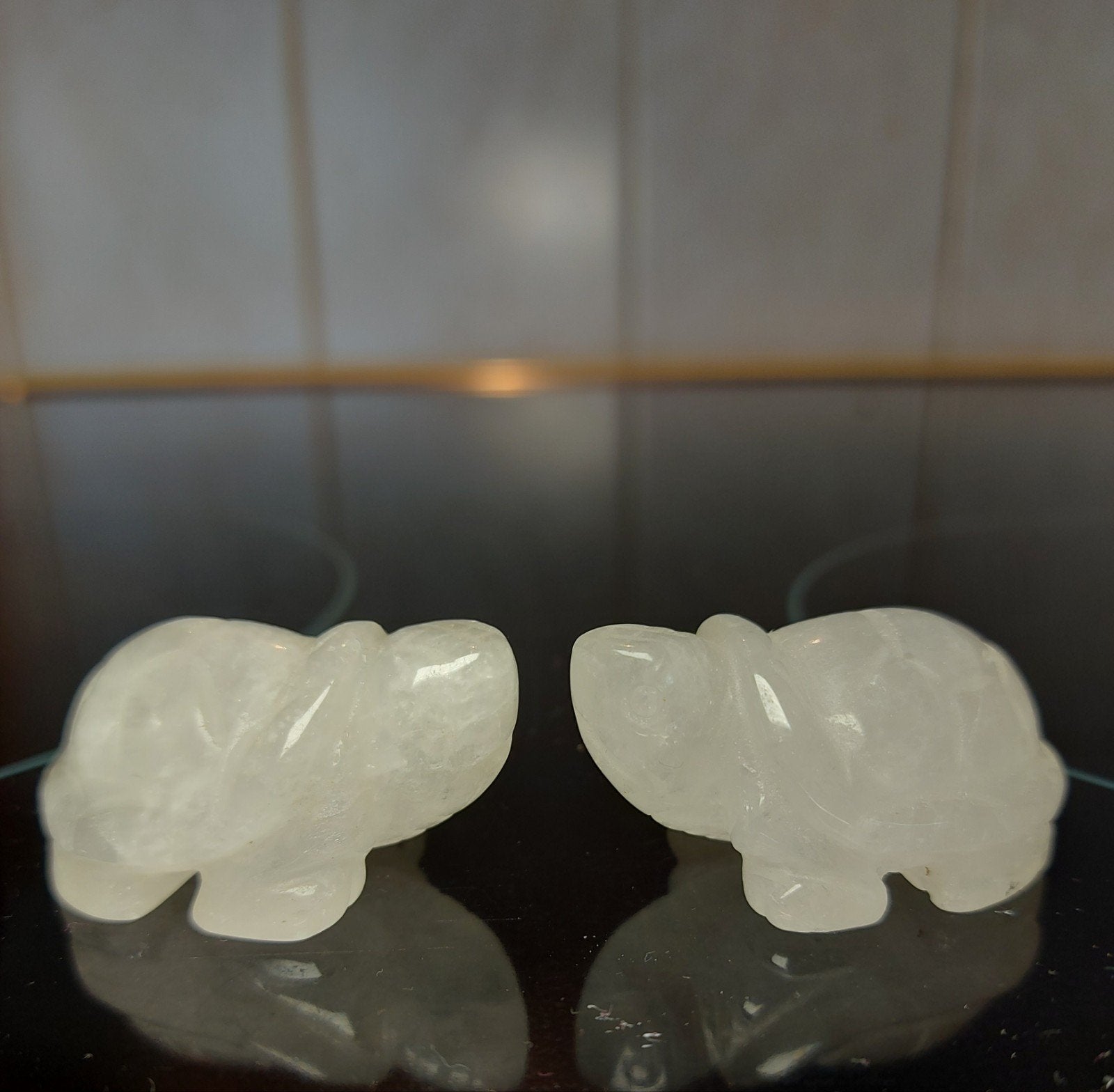 Leuke Bergkristal Schildpadden, Ophalen of Verzenden
