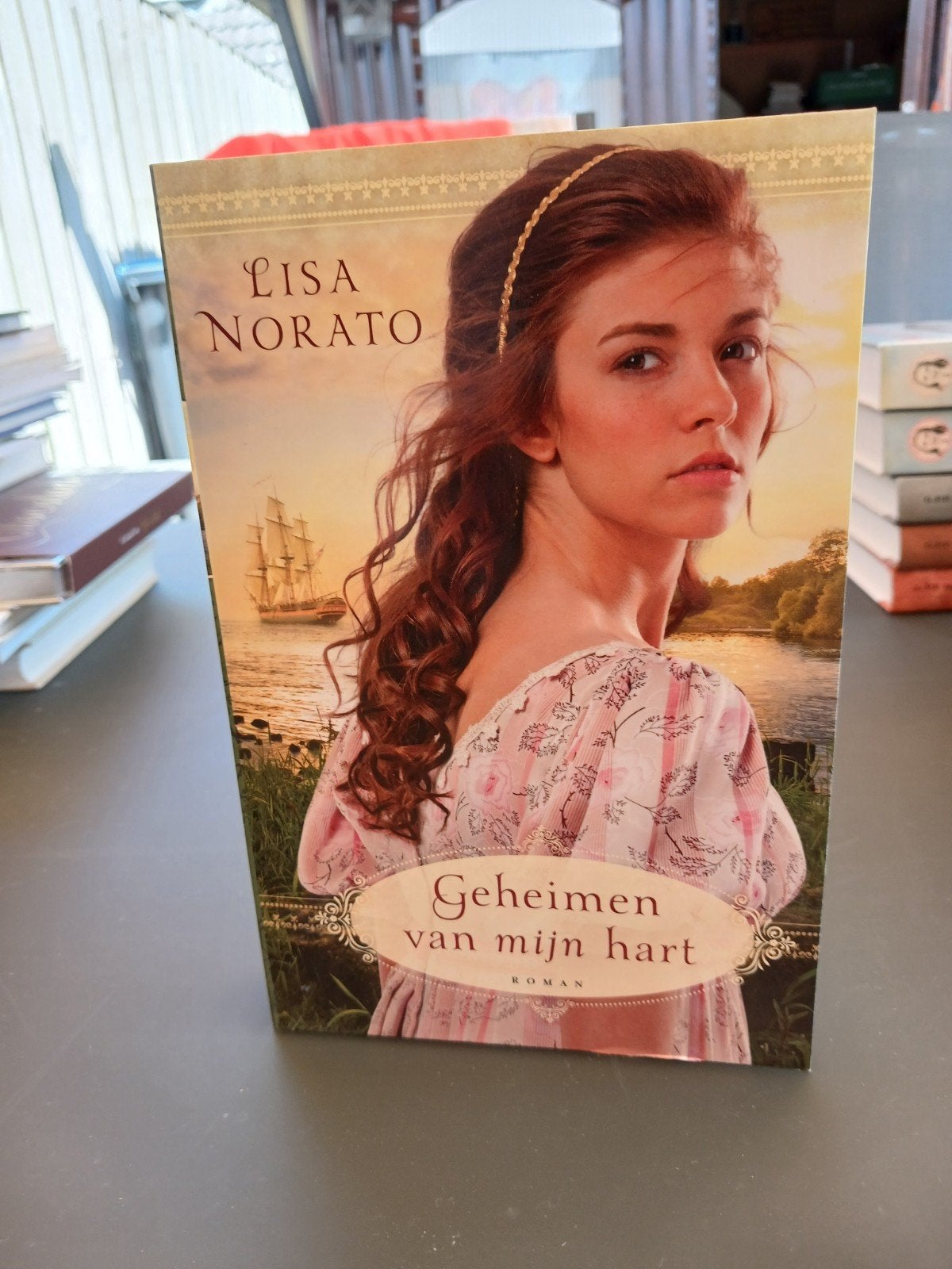 Geheimen van mijn hart - Lisa Norato (Roman), Ophalen of Verzenden, Zo goed als nieuw, Lisa Norato, Amerika