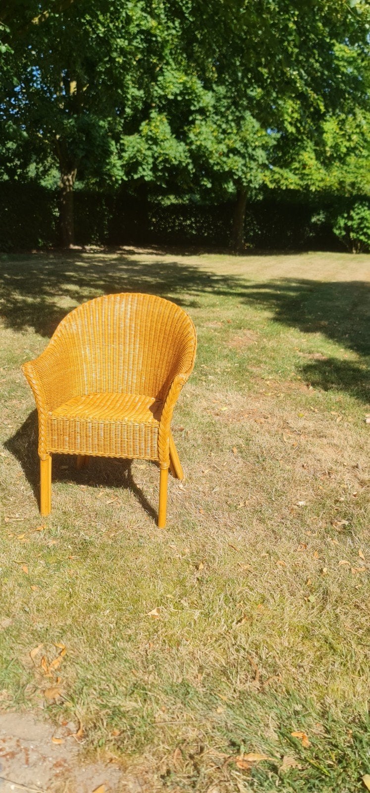 Rotan kuipstoel in goede staat - teab, Ophalen, Gebruikt, Bruin, Riet of Rotan