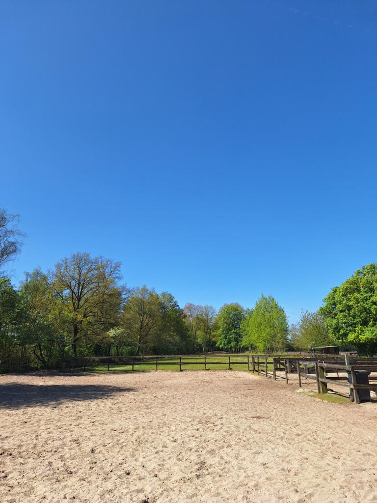 Pensioenplek aangeboden voor pony of klein paard, Dieren en Toebehoren, Stalling en Weidegang, Weidegang