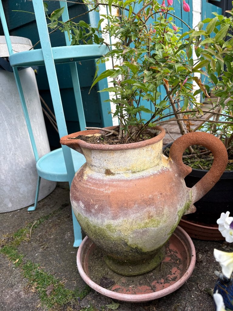 Oude kruik met jasmijn plant erin tuindecoratie, Tuin en Terras, Ophalen, Gebruikt